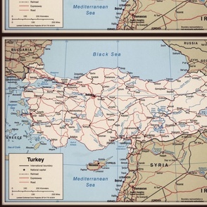 Turkey map, small, FQ