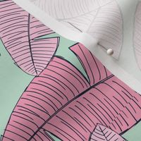 Lush leaves palm tree leaf garden tropical summer vibes and surf beach dreams mint green pink