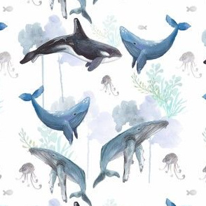 Watercolour Whales