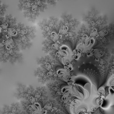 Silvery Moon Frost Fractal Abstract