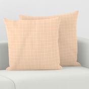 Soft peach pool tiles geometric minimal trend grid peach pink