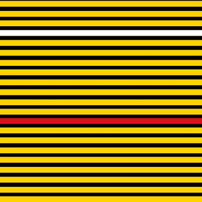 Richmond Colors: Lots of Little Stripes - Horizontal