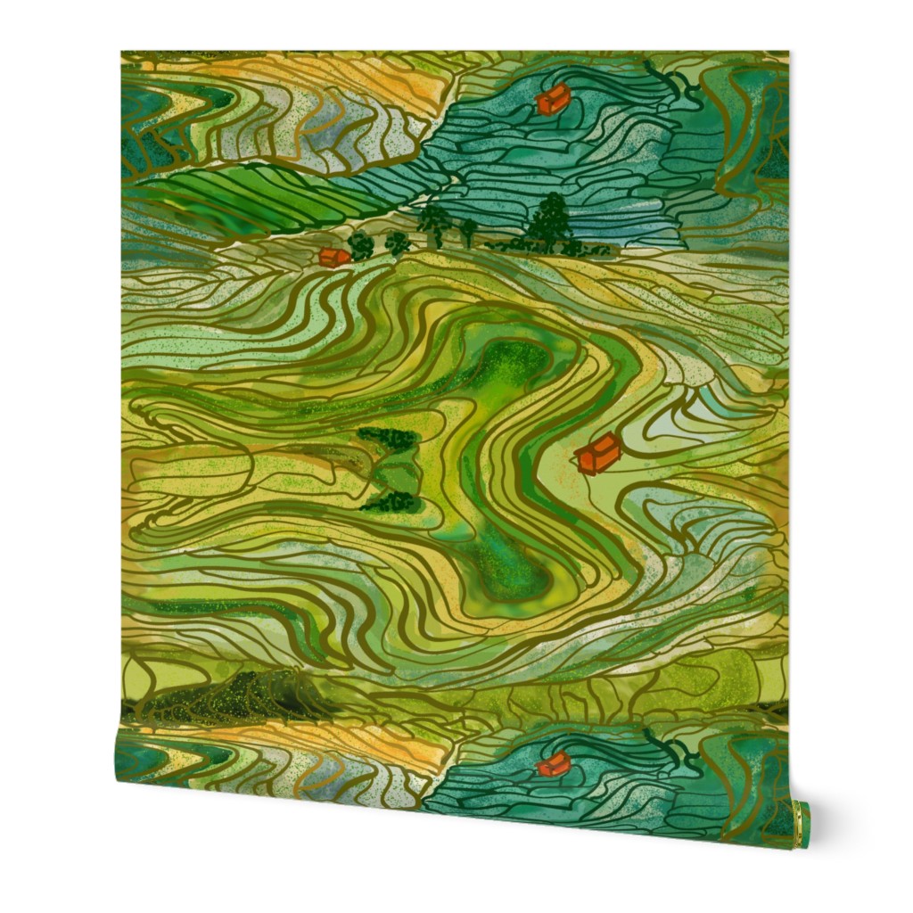 Terraced Rice Paddy Fields- Landscape 