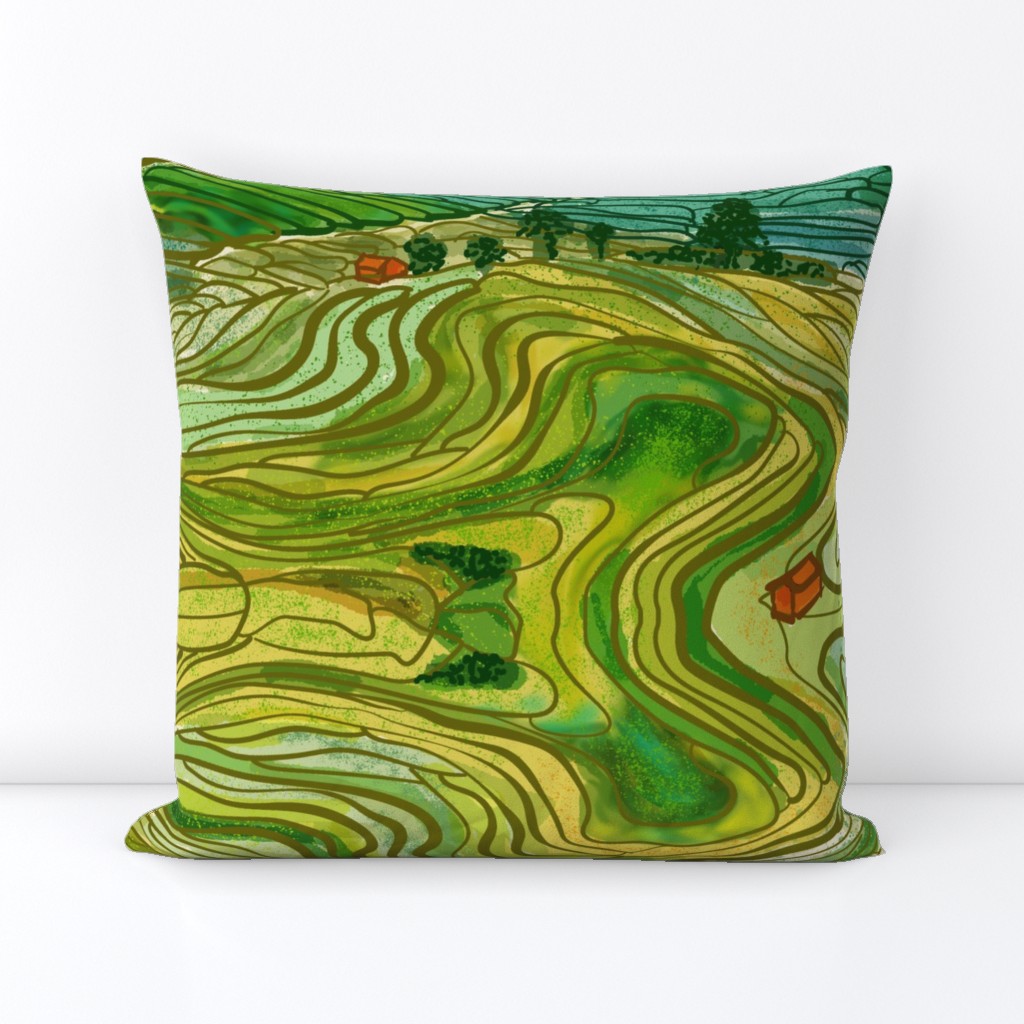 Terraced Rice Paddy Fields- Landscape 