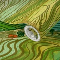 Terraced Rice Paddy Fields- Landscape 