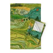 Terraced Rice Paddy Fields- Landscape 