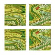 Terraced Rice Paddy Fields- Landscape 