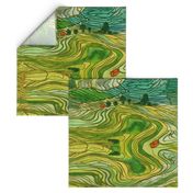 Terraced Rice Paddy Fields- Landscape 