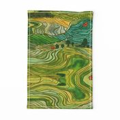 Terraced Rice Paddy Fields- Landscape 