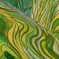 Terraced Rice Paddy Fields- Landscape 