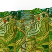 Terraced Rice Paddy Fields- Landscape 