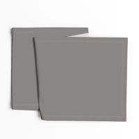 Frost Gray Solid Color Trend Autumn Winter 2019 2020