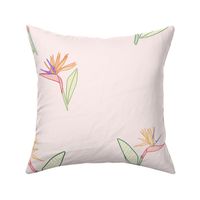 Bird Of Paradise Soft Pink LARGE