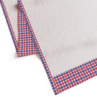 July 4th Gingham Red White Blue