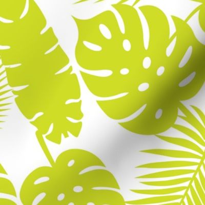 Tropical Leaves - Lime on White - Medium