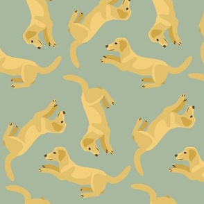 Yellow Labradors Allover