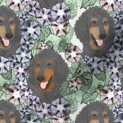 Floral Phantom Standard Poodle portraits