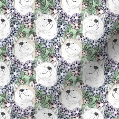 Small Floral White Japanese Akita Inu portraits