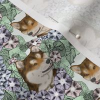 Small Floral sesame Shiba Inu portraits