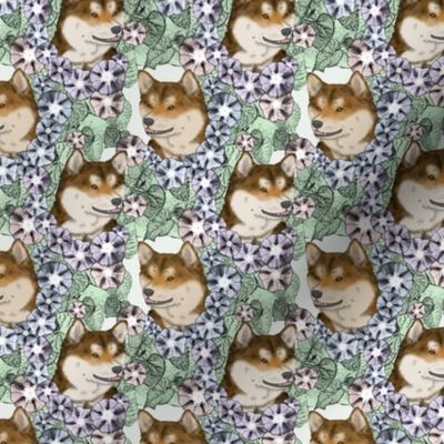 Small Floral sesame Shiba Inu portraits