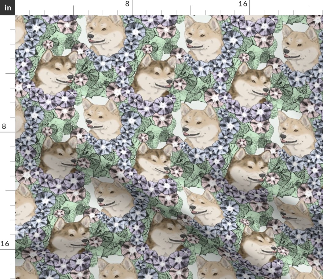 Floral cream Shiba Inu portraits