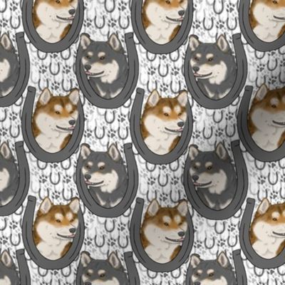 Small Shiba Inu horseshoe portraits