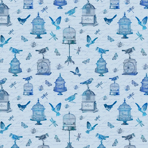 Blue Vintage Bird Cage_1