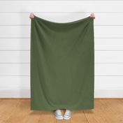 Muted olive green Solid 646d4b