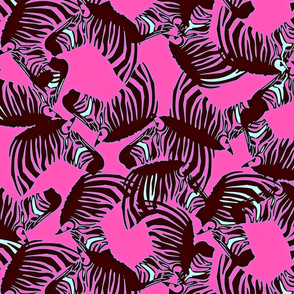 zebras_in_pink