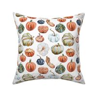 Organic Pumpkins // White - Fall