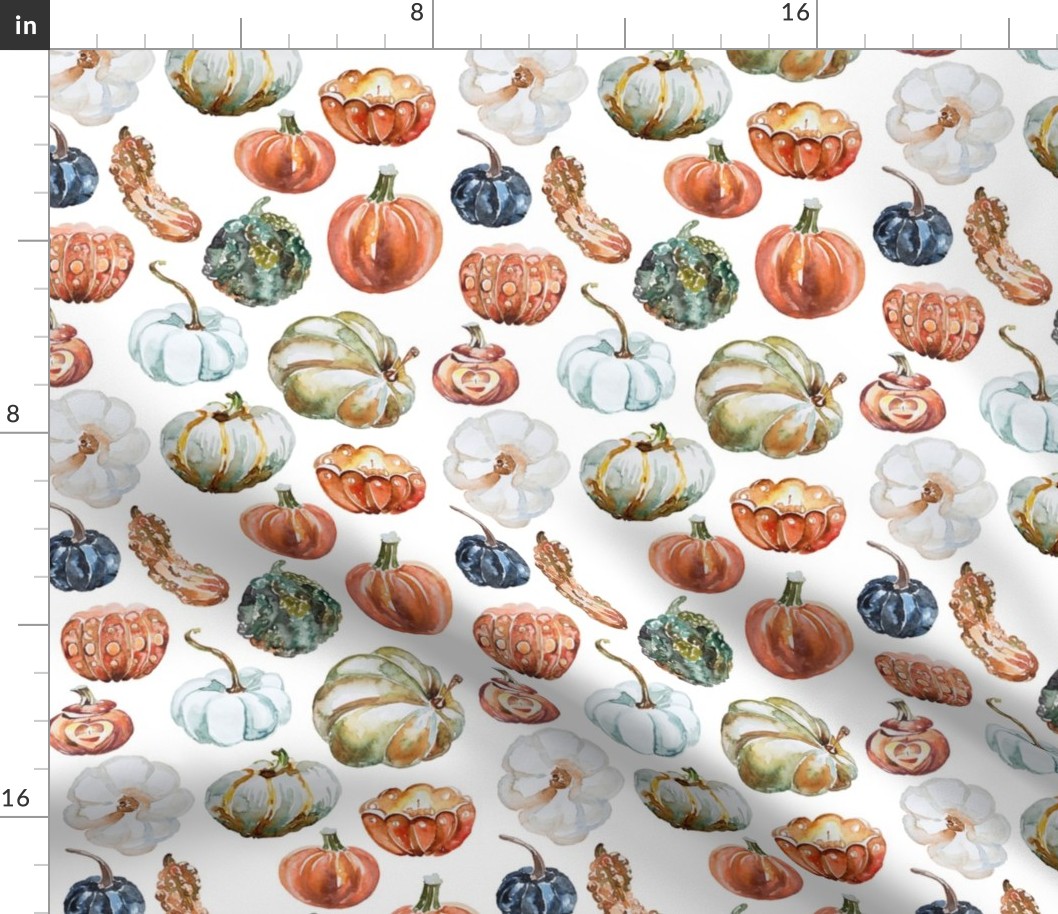 Organic Pumpkins // White - Fall