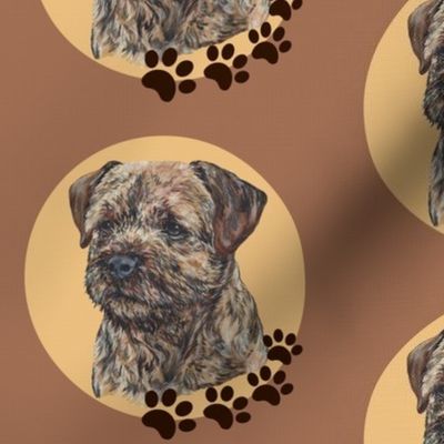 border terrier dog portrait
