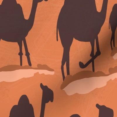 Bird's eye Camel Shadows