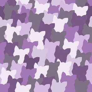 Purple Cats