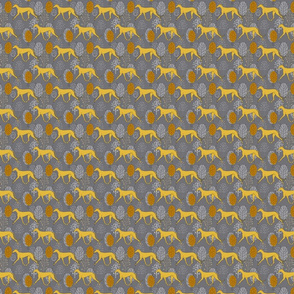 Yellow greyhound