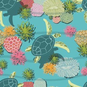 sea turtles and corals