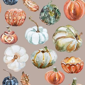 Organic Pumpkins // Silk