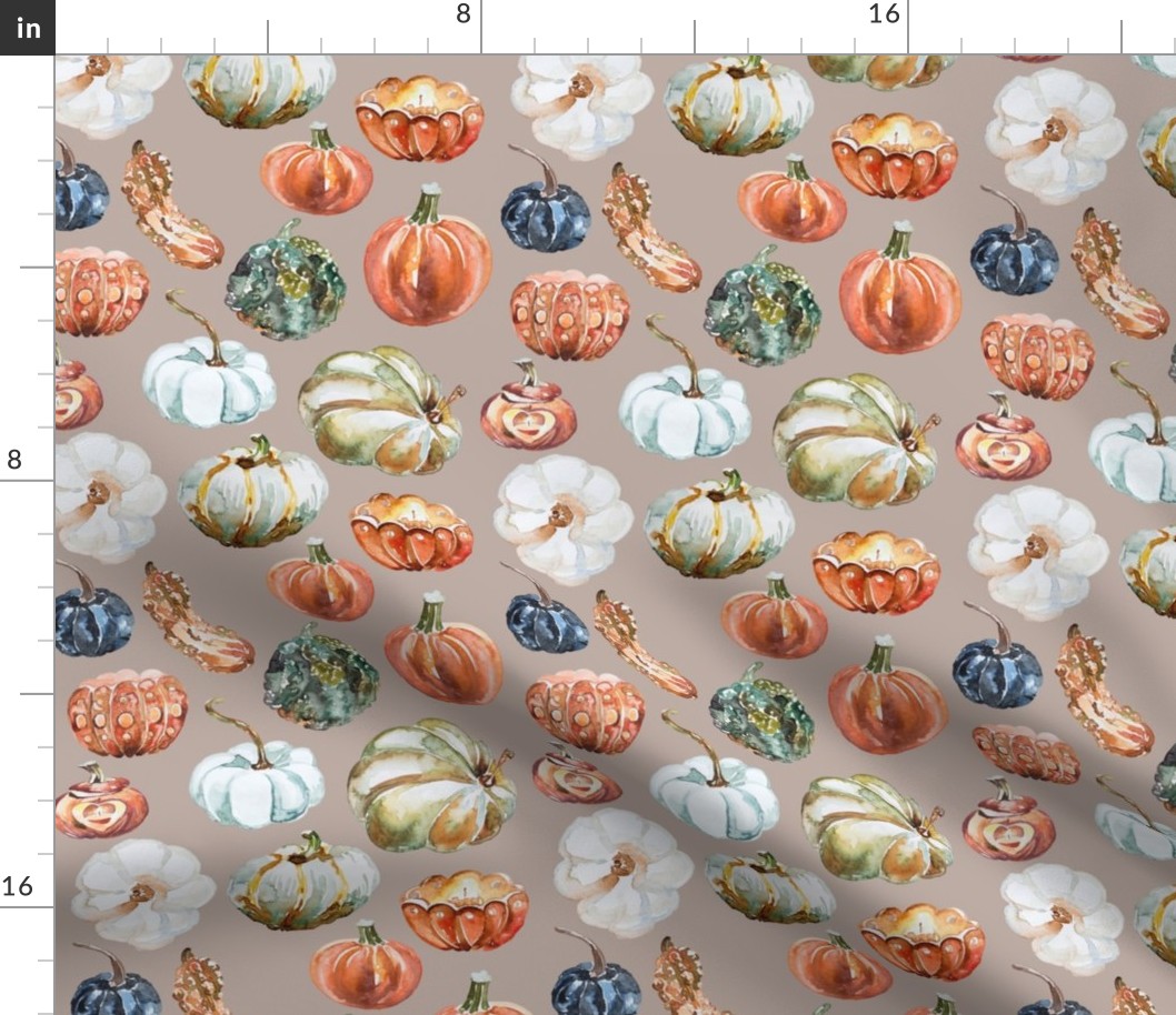 Organic Pumpkins // Silk