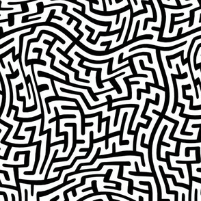 The Maze from above - Black and White