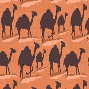 Bird's-eye Camels