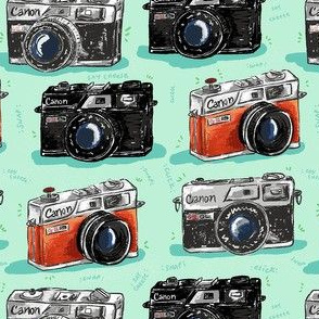 Vintage Cameras Small