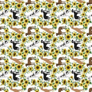 SMALL - great dane sunflowers fabric - dog fabric, sunflowers fabric, yellow fabric - white
