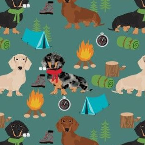 doxie camping fabric - dog fabric, dachshund fabric, campfire fabric, outdoors adventurer fabric -green