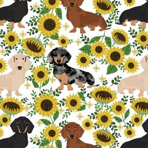 doxie sunflower fabric - dog sunflower fabric, sunflowers fabric, dog design -white