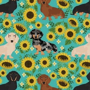 doxie sunflower fabric - dog sunflower fabric, sunflowers fabric, dog design - turquoise