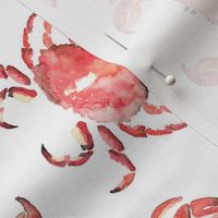 1d Nautical Red Crab Railroad  Watercolor Ocean Beach