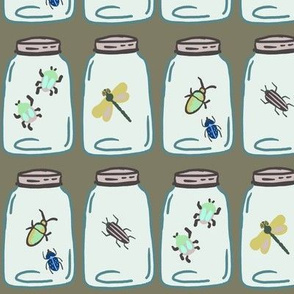 Bugs in Jars