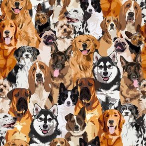 crowd of dogs