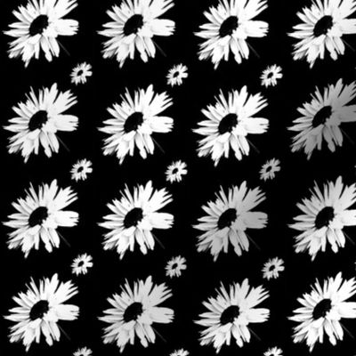 Daisy Love Black