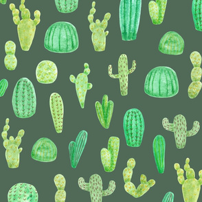 Cactus on Green